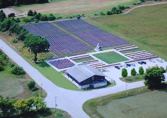 historic island dairy wisconsin
