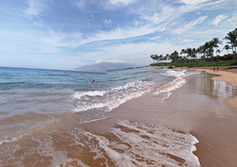 pet friendly hotel in door county, hotel in ephraim dogs allowed