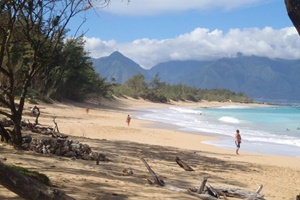 dog park door county