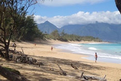 Baldwin Beach Park, dog parks in maui, maui dog parks