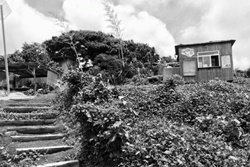 Bully's Burgers, dog friendly Kihei restaurants, dogs allowed maui restaurants