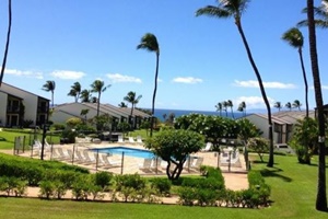 Comfy Condo, dogs allowed vacation rentals in Kihei, Hawaii, Kihei pet friendly rentals