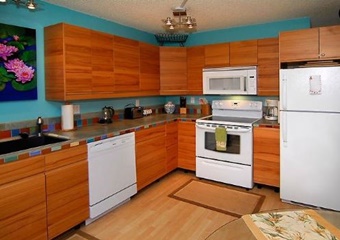 Comfy Condo, dogs allowed vacation rentals in Kihei, Hawaii, Kihei pet friendly rentals