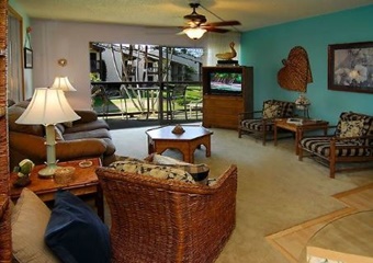 Comfy Condo, dogs allowed vacation rentals in Kihei, Hawaii, Kihei pet friendly rentals
