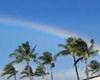 Comfy Condo, dogs allowed vacation rentals in Kihei, Hawaii, Kihei pet friendly rentals