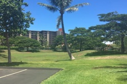 Honoapiilani Park, dog parks in maui, maui dog parks