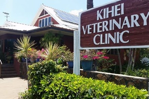 Kihei Veterinary Clinic, vets near kihei, maui veterinarians