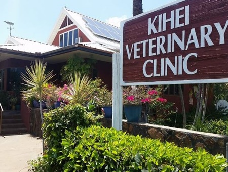 Kihei Veterinary Clinic, vets near kihei, maui veterinarians