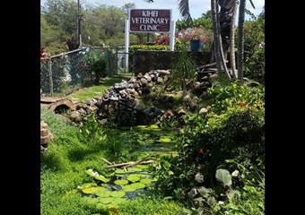 Kihei Veterinary Clinic, vets near kihei, maui veterinarians