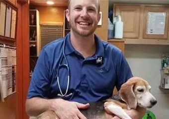 Kihei Veterinary Clinic, vets near kihei, maui veterinarians