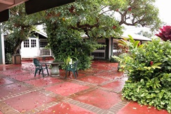 Market Fresh Bistro, dog friendly Kihei restaurants, dogs allowed maui restaurants