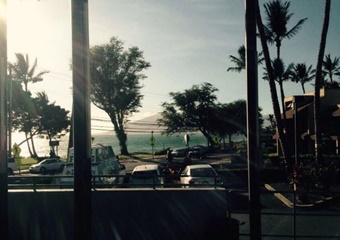 Maui Fish N Chips, dog friendly Kihei restaurants, dogs allowed maui restaurants