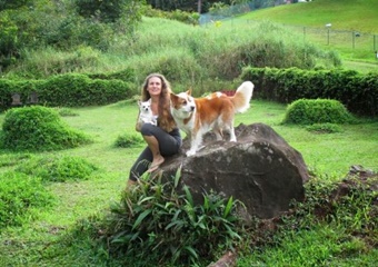 Maui Pet Boarding and Sitting, pet boarding near kihei, maui pet boarding and grooming; dog daycare in maui