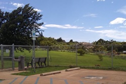 Upcountry Dog Park, dog parks in maui, maui dog parks